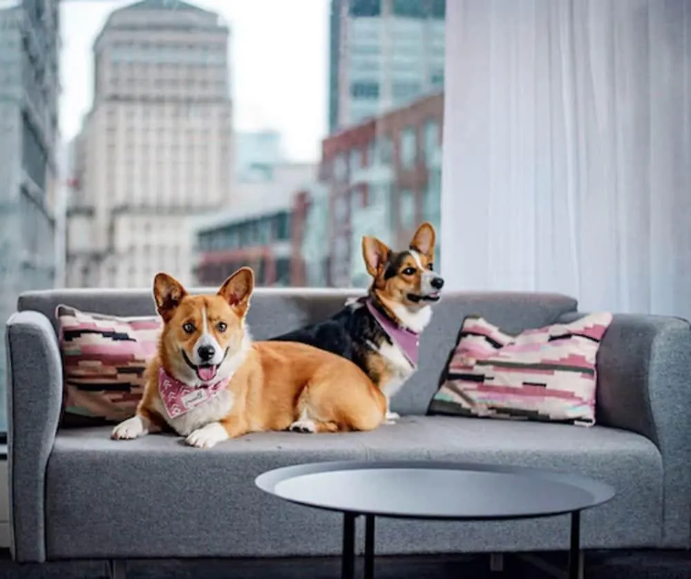 Hotel Monville Montreal